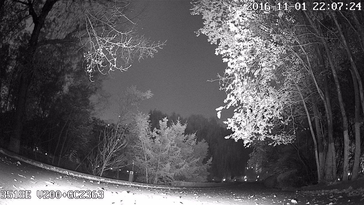 寒风下的傲骨 沈阳第一现场夜视测试资料曝光