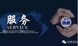 安防诚信联盟—售后服务承诺书