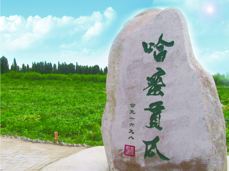 哈密伊吾县哈密瓜质量追溯体系建设项目